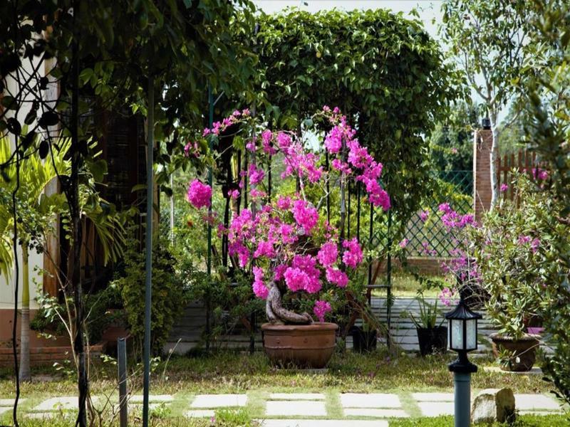 Spring Garden Homestay Дуонг-Донг Экстерьер фото