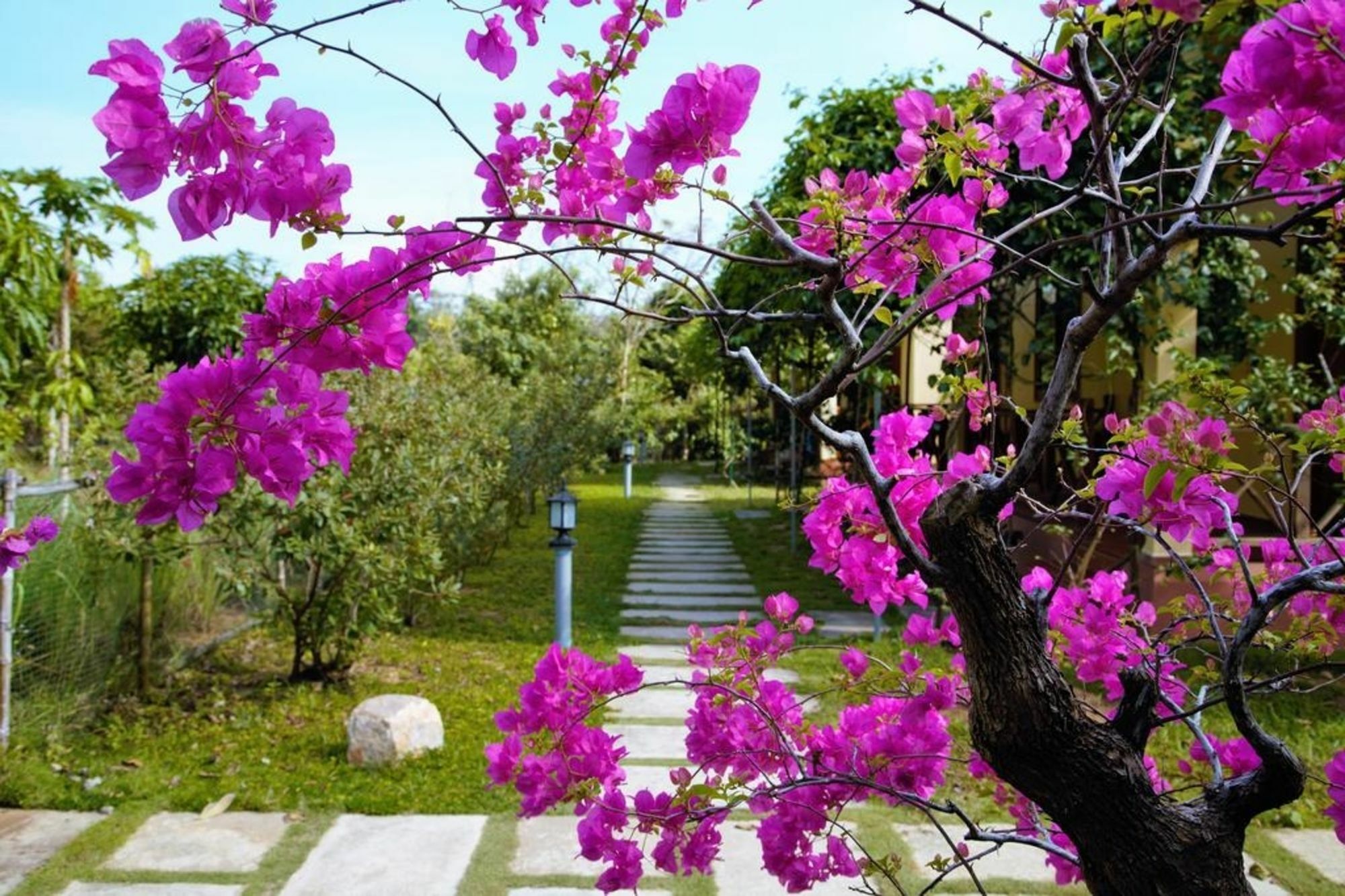 Spring Garden Homestay Дуонг-Донг Экстерьер фото