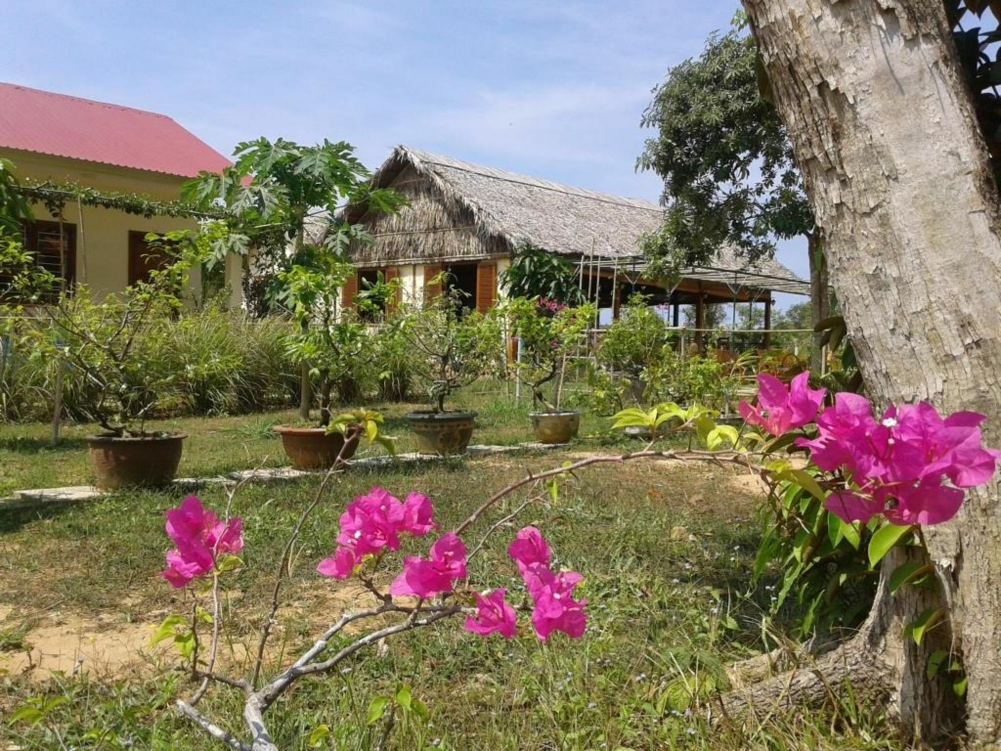 Spring Garden Homestay Дуонг-Донг Экстерьер фото