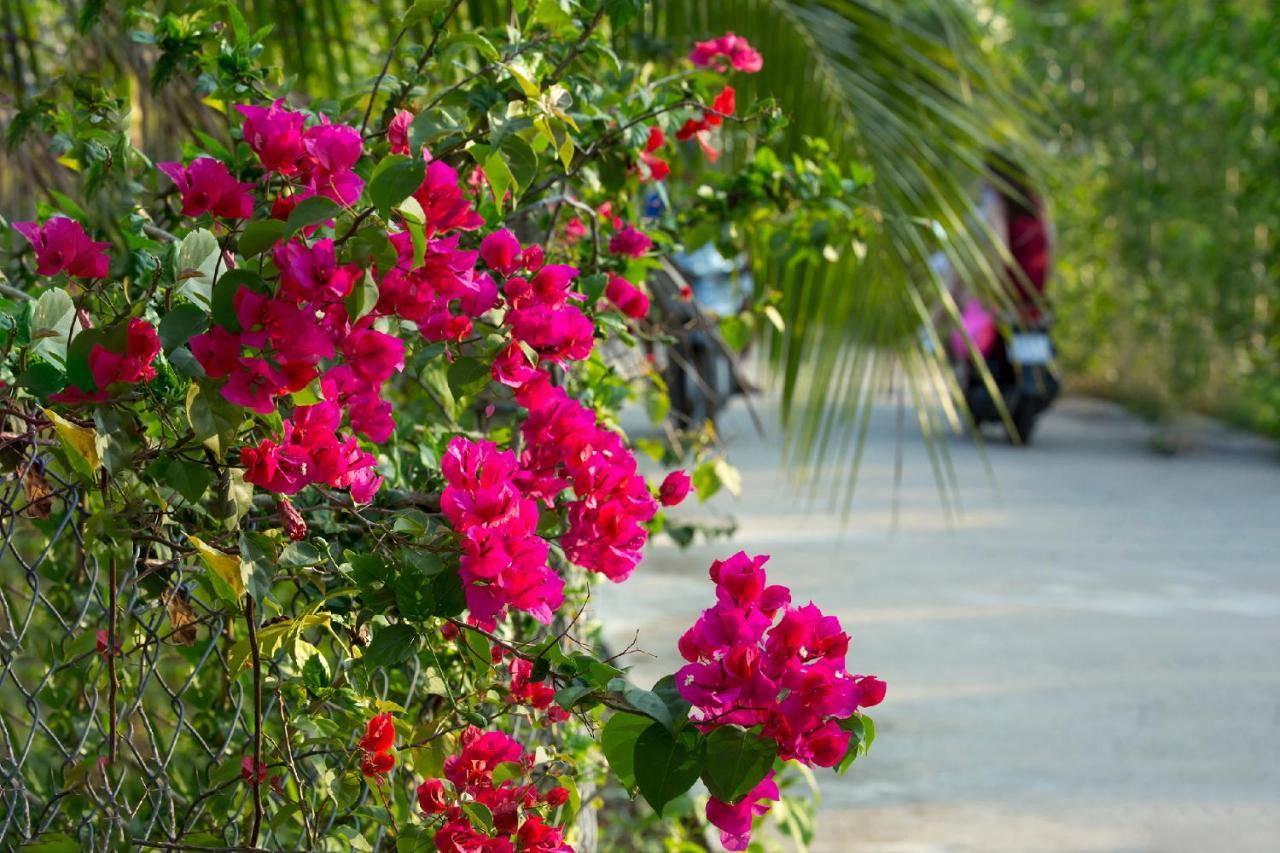 Spring Garden Homestay Дуонг-Донг Экстерьер фото