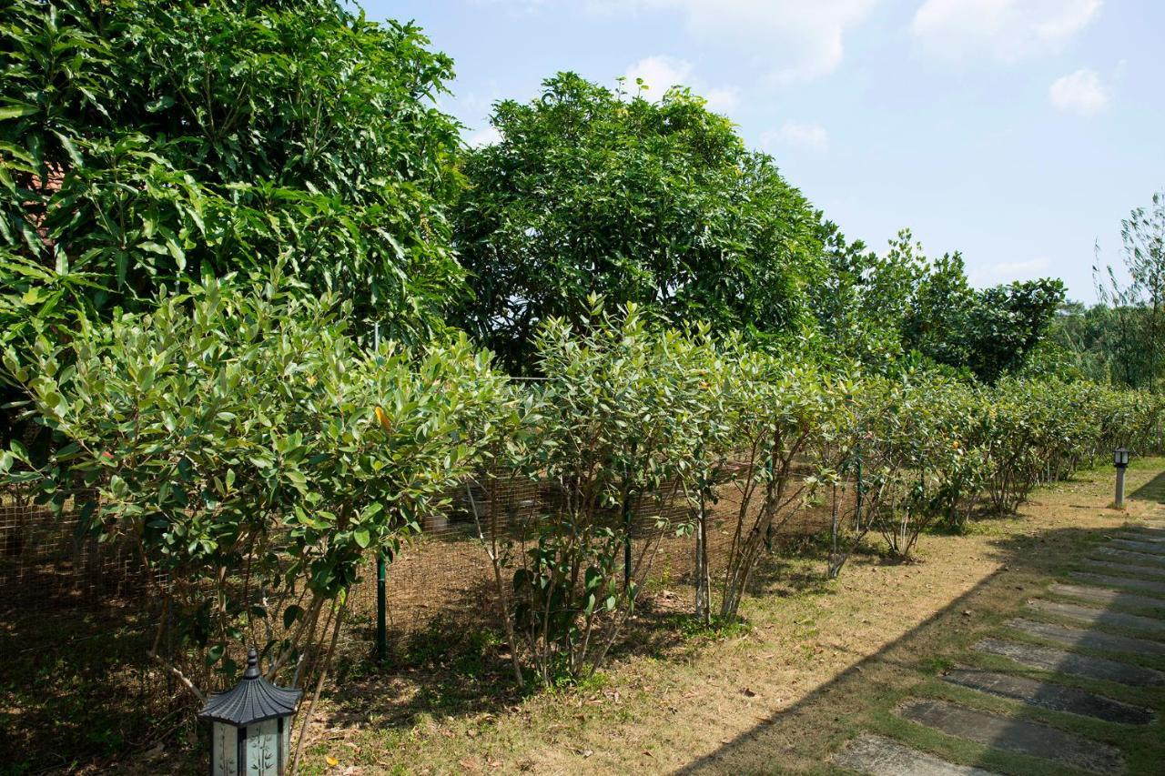 Spring Garden Homestay Дуонг-Донг Экстерьер фото